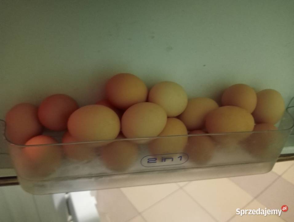 Jaka Jajka wiejskie z wolnego wybiegu Jasienica Rosielna sprzedam