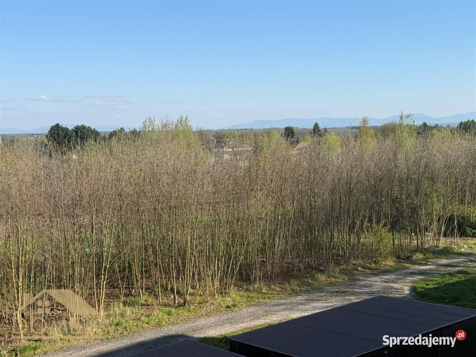 Do wynajęcia mieszkanie Wodzisław Śląski 50 śląskie