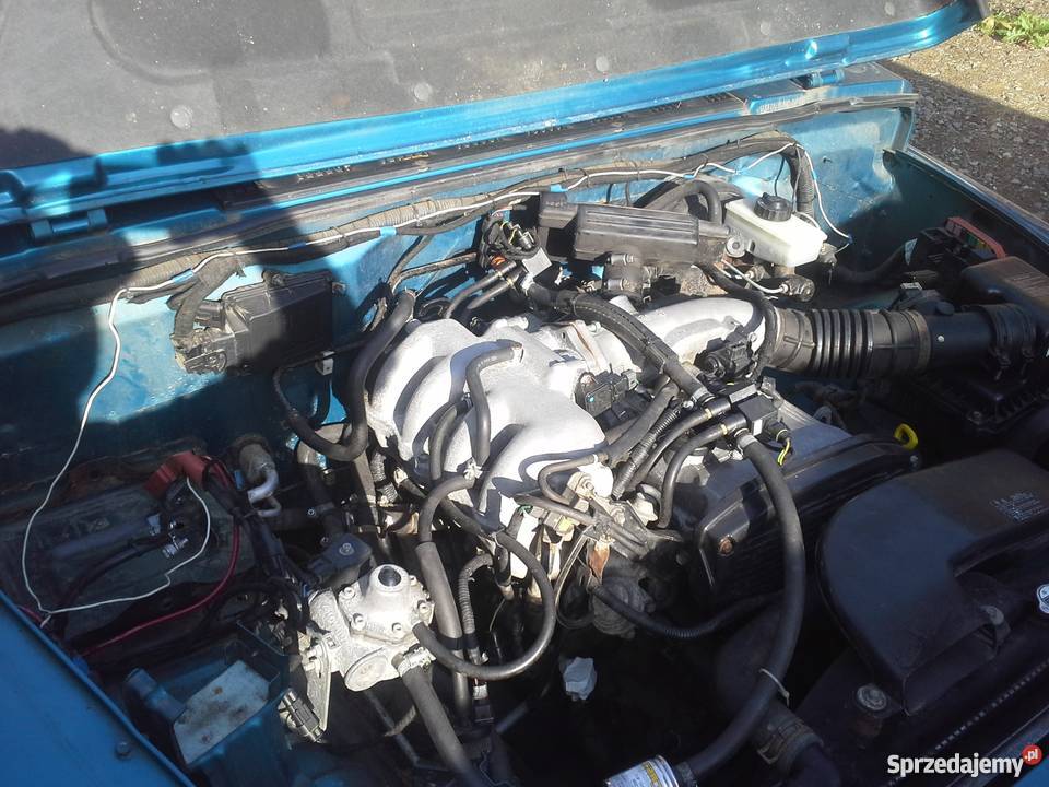 LOVATO instalacja gazowa LPGsekwencja osobowe Turka