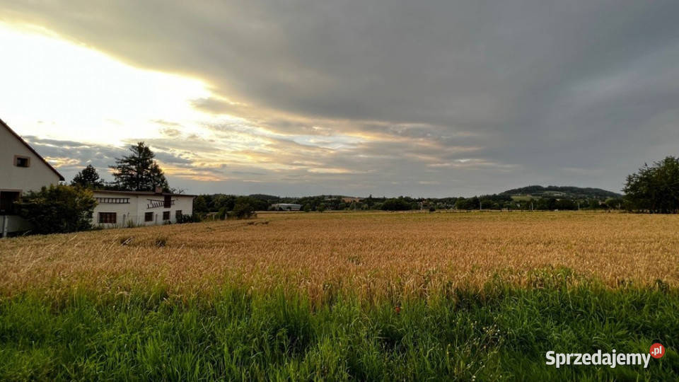 Działka z lasem w pobliżu Beskidy budowlana Goleszów sprzedam