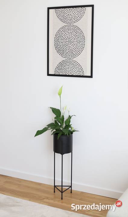 Kwietnik Metalowy Stojak na kwiaty z donicą 70 Sobienie-Jeziory