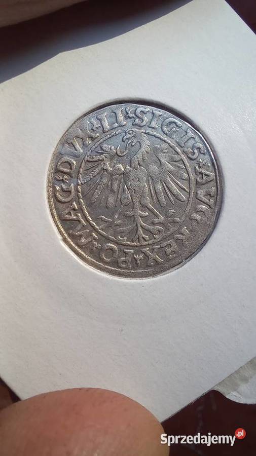 Półgrosz 1547r Zygmunt ll August Numizmatyka Trzebinia sprzedam