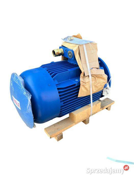Silnik Elektryczny Bartec Varnost 44kW Tuliszków sprzedam