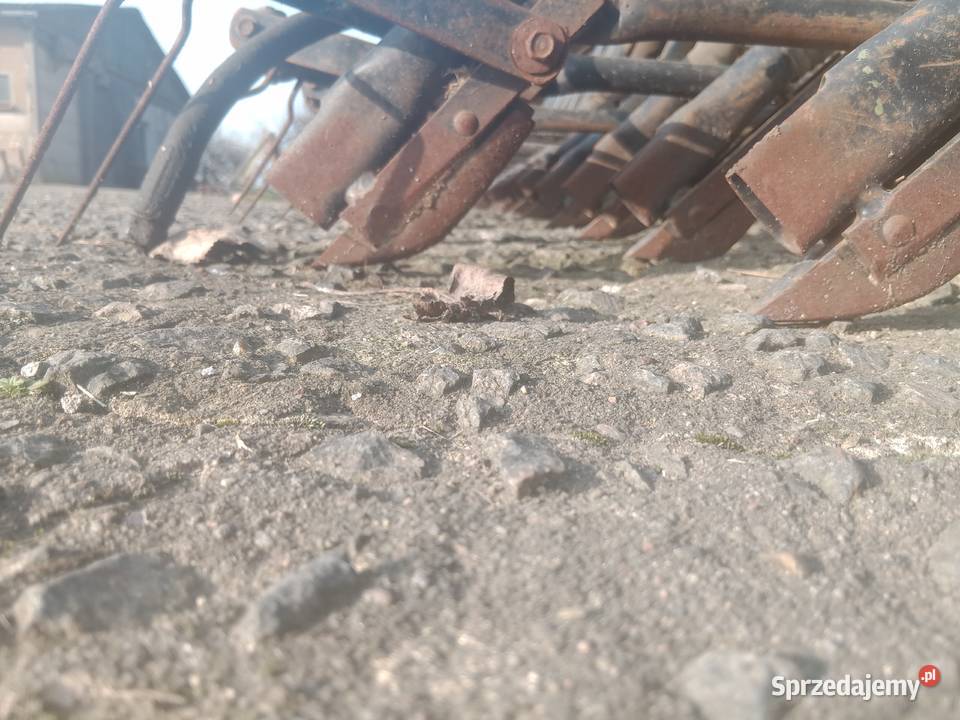 Głębosz talerzówka siewnik hala taśmociąg Sompolno