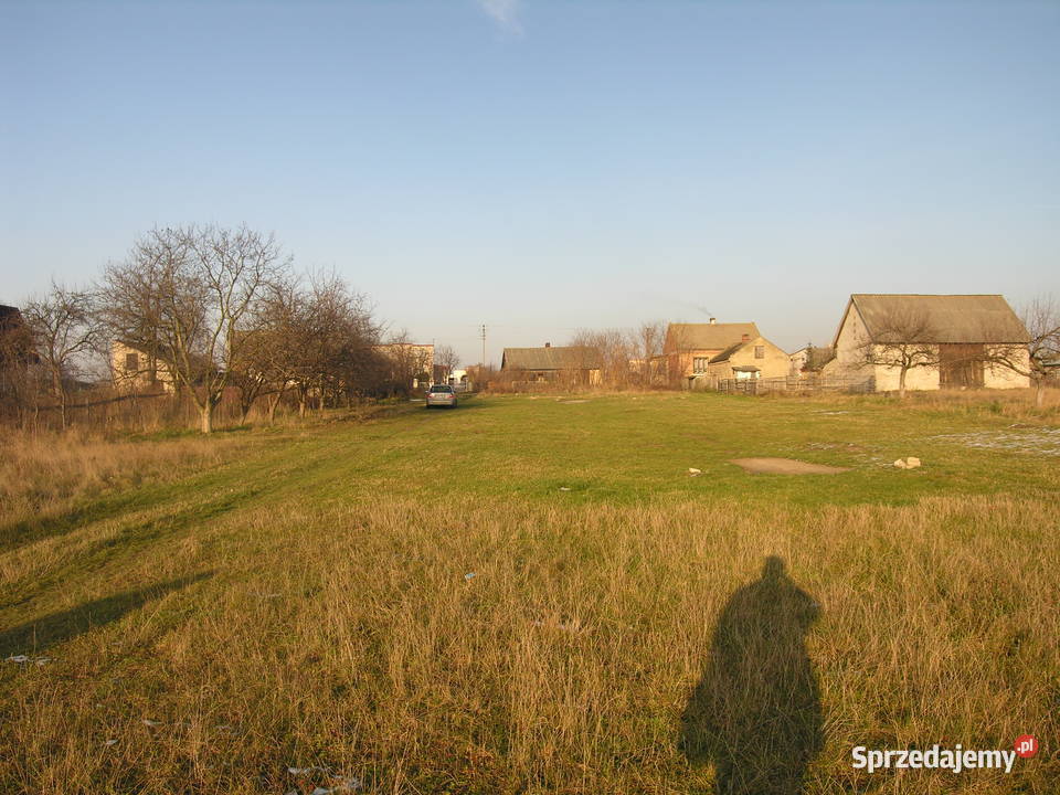 Na sprzedaż działka 175 ha Janik gmina Kunów