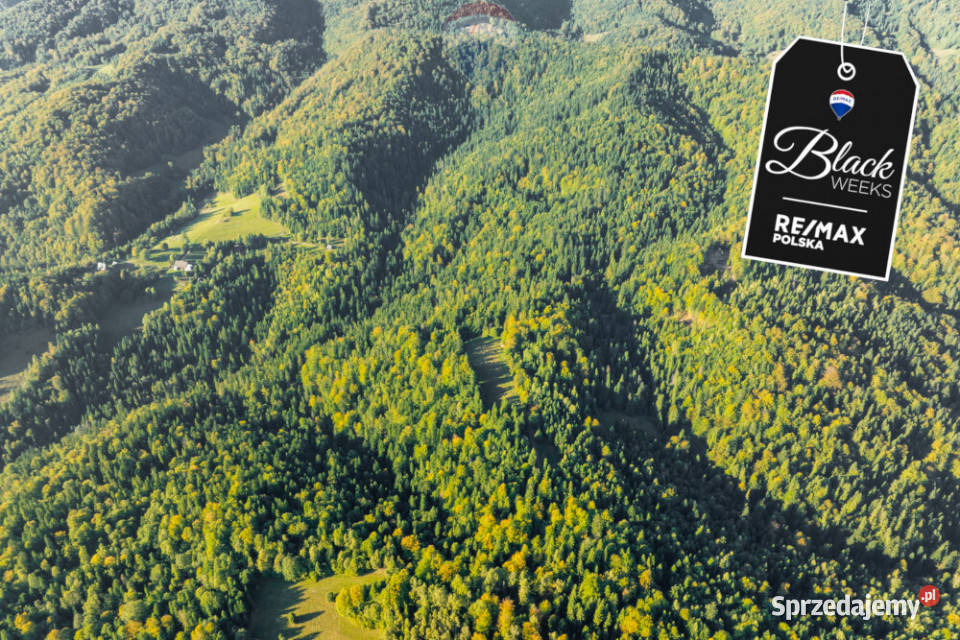 Polana w lesie sprzedam