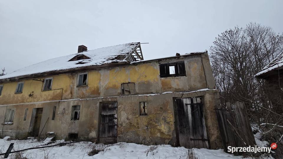 Dom z zabudowaniami gospodarczymi do kapitalnego Henryków Lubański