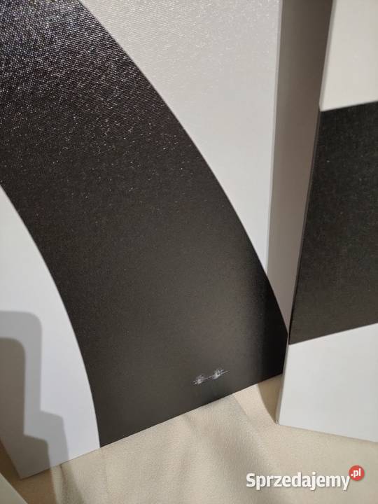 Obraz tryptyk 4 części czarno biały Okazja