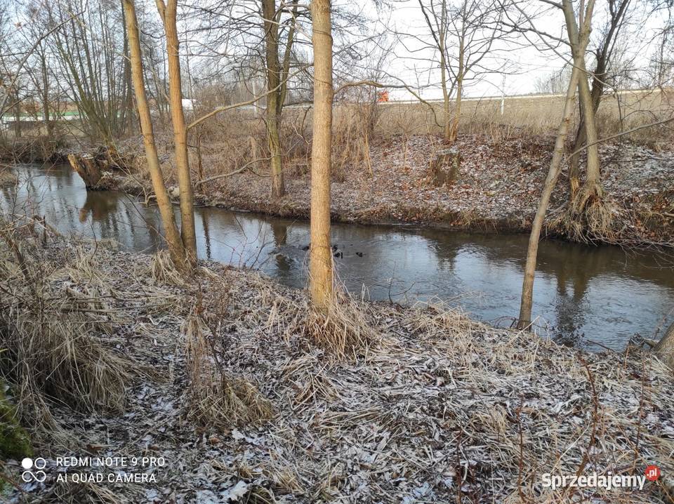 Sprzedam działkę trasie s7 w mierzawie dostep do 9768m2 Grunty i działki świętokrzyskie Mierzawa