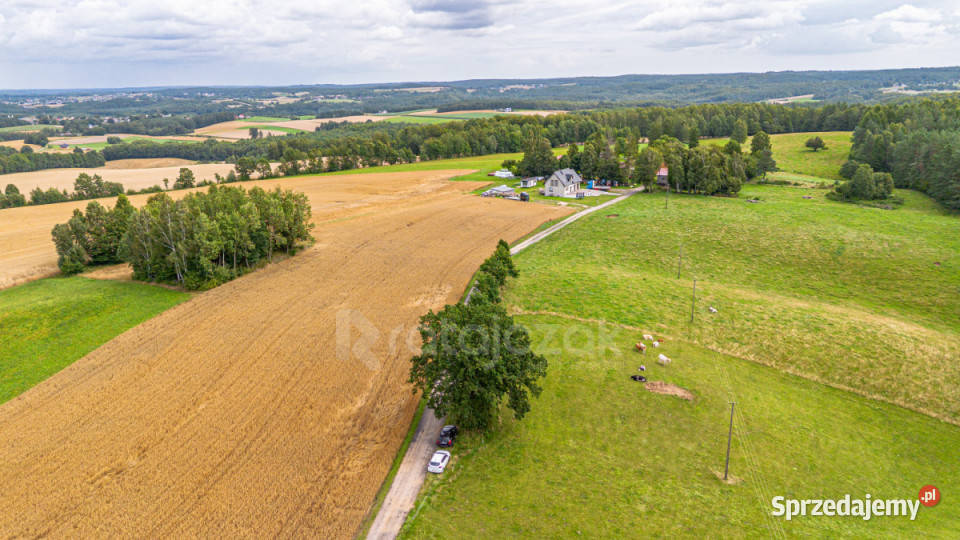 Grunt Milwino 3111m2 polna