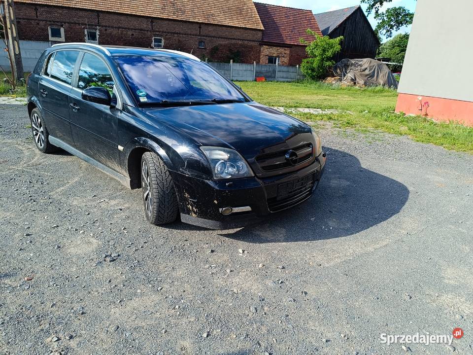 Opel Signum 30 V6 CDTI 177 2005 r Bogata Wersja Trzebiel