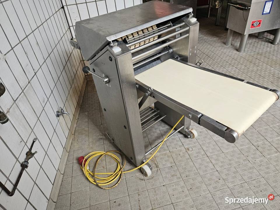 Skórowaczka dwutaśmowa Maja