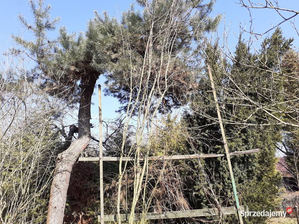 Działka ROD w Balicach małopolskie Kryspinów