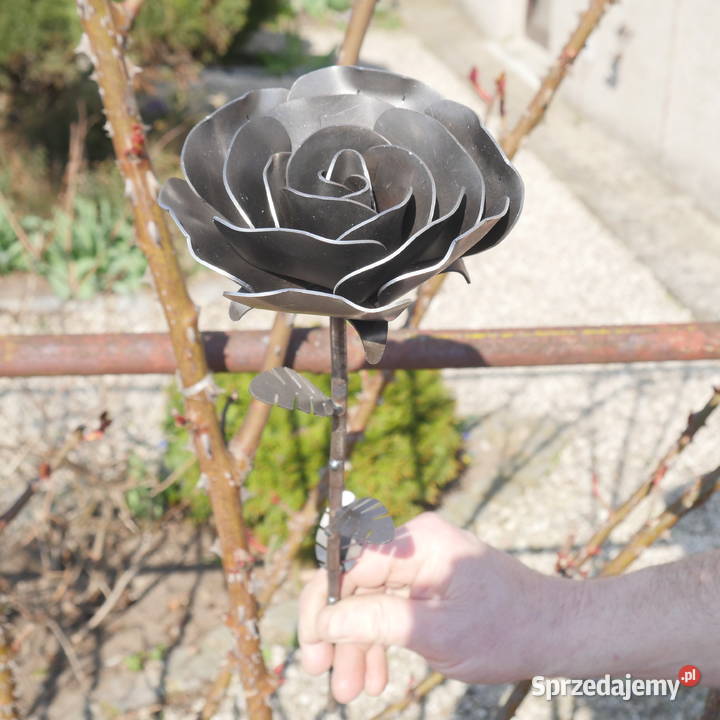 Wieczna Róża Surowa Stal Rękodzieło Leszno