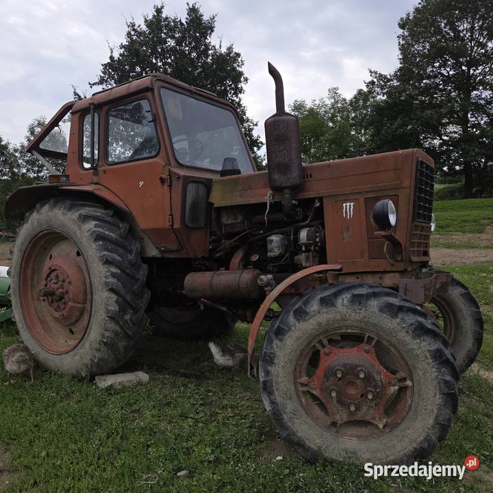 Sprzedam MTZ 82 1984 r sprawny do remontu Rajbrot