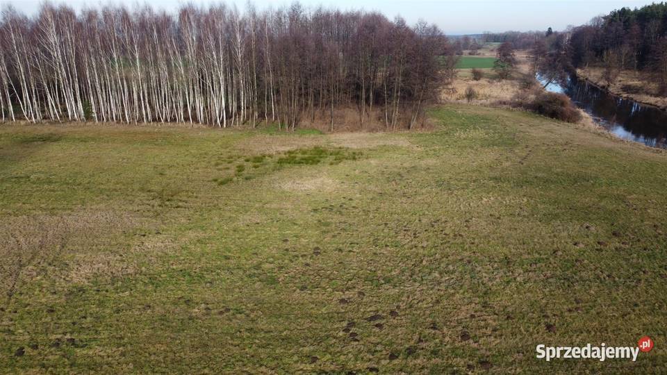 Działka z linia brzegowa rzeki Wkry mazowieckie Ciechanów sprzedam