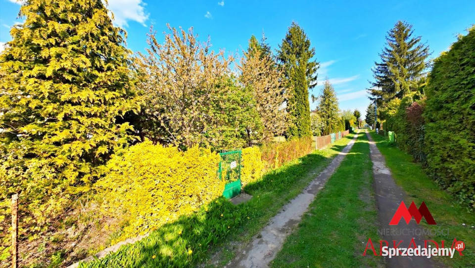 Ogłoszenie działka Włocławek 294m2