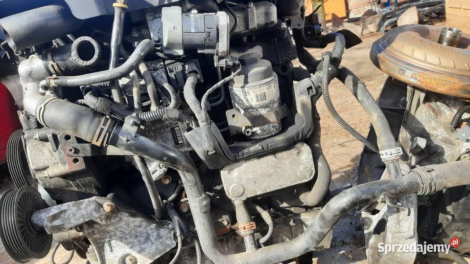 Y22DTR silnik kompletny 22 DTI 125 Opel Vectra C Dębno
