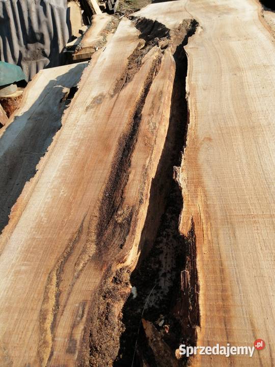 monolit dąb 245x65x65 stolik kawowy live edge Dom i Ogród Przysucha