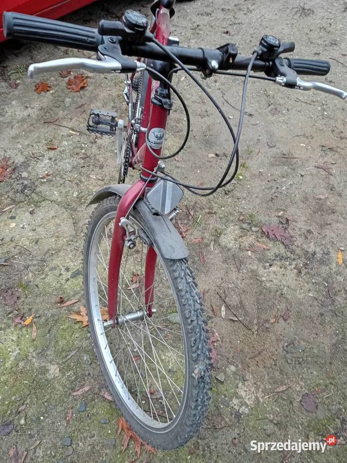 Rower ACTIVE Myślenice