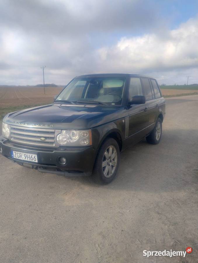 Range Rover Vogue 36TDV8 Pyrzyce