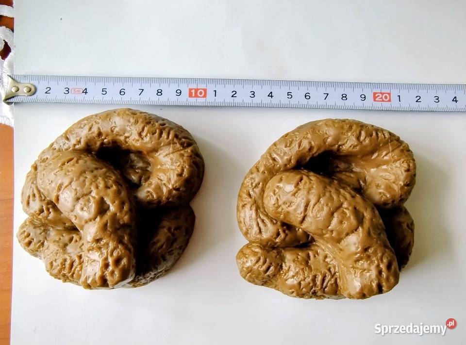 Gadżet sztuczna kupa Żory