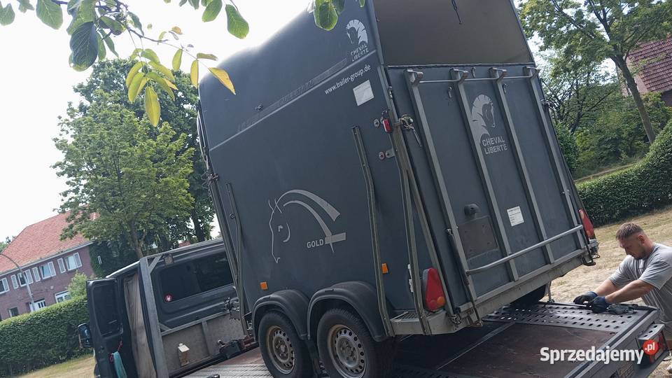 Przyczepa dwukonna Cheval Liberte Debon PODŁOGA wielkopolskie Konin
