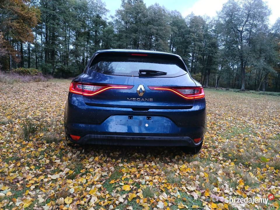 Renault Megane IV Uniejów