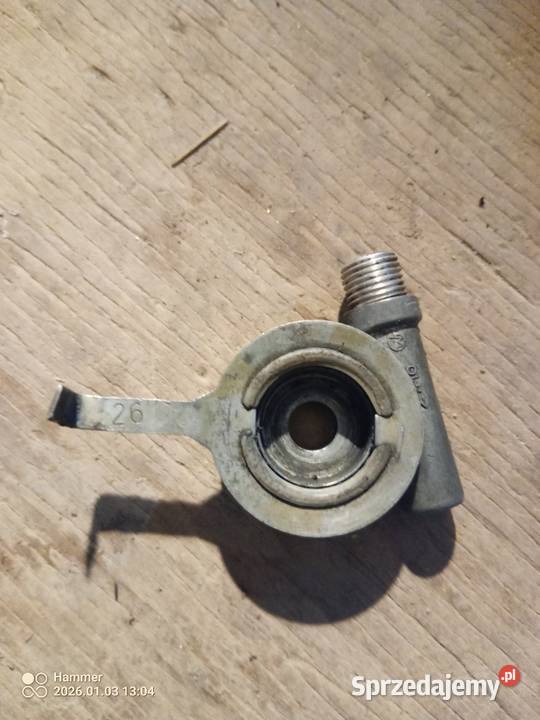 Ślimak HURET 26 lubuskie Ciosaniec