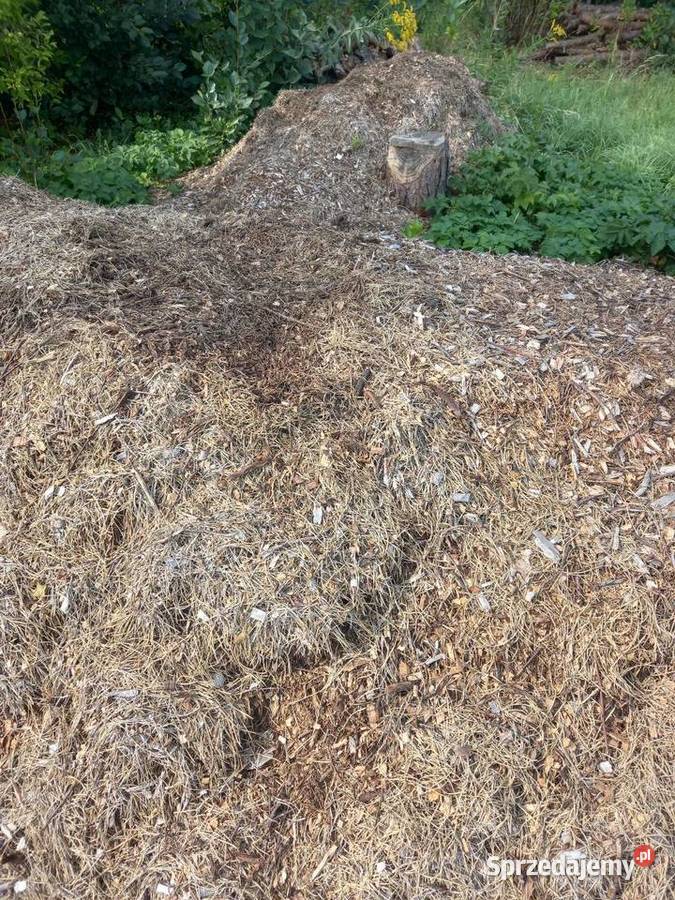 ORZECH Drewno do kominka do pieca co kafelLublin Ogrzewanie Lublin sprzedam