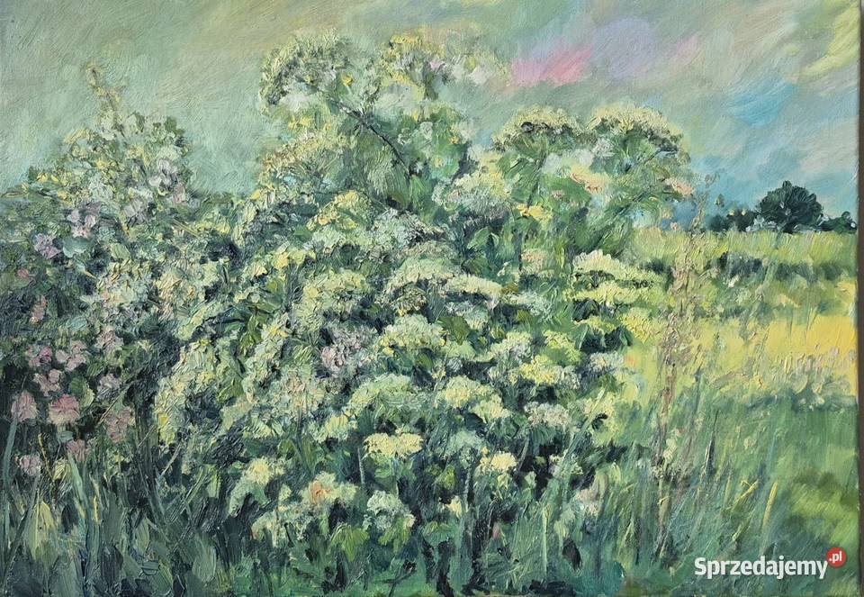 Biały bez i dzika róża Gniezno