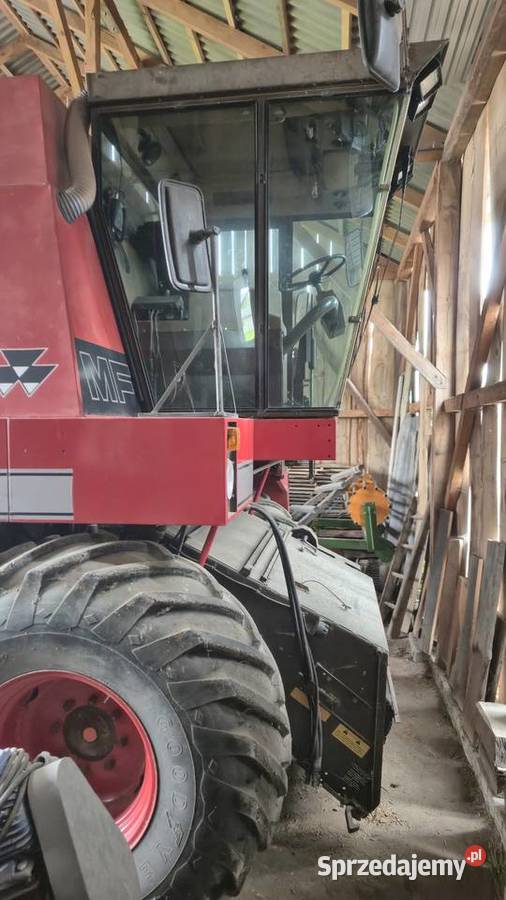 Massey ferguson 31 nieuszkodzony lubelskie Żuków-Kolonia