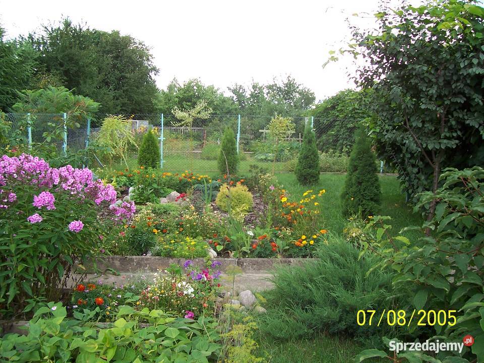 Sprzedam działkę ROD Jaroszówka 99zł/m2 Białystok