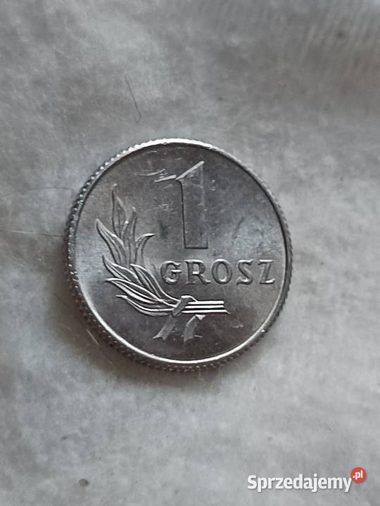 Sprzedam monete 1 groszy 1949 fffff Chełm
