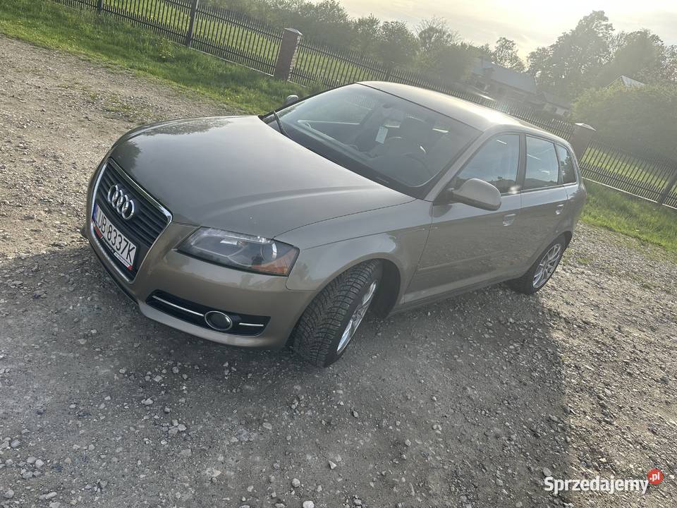 Audi a3 8P 19 TDI Bychawa
