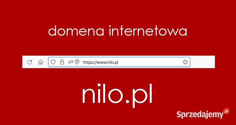 Domena internetowa nilo Tworzenie stron internetowych wielkopolskie Poznań