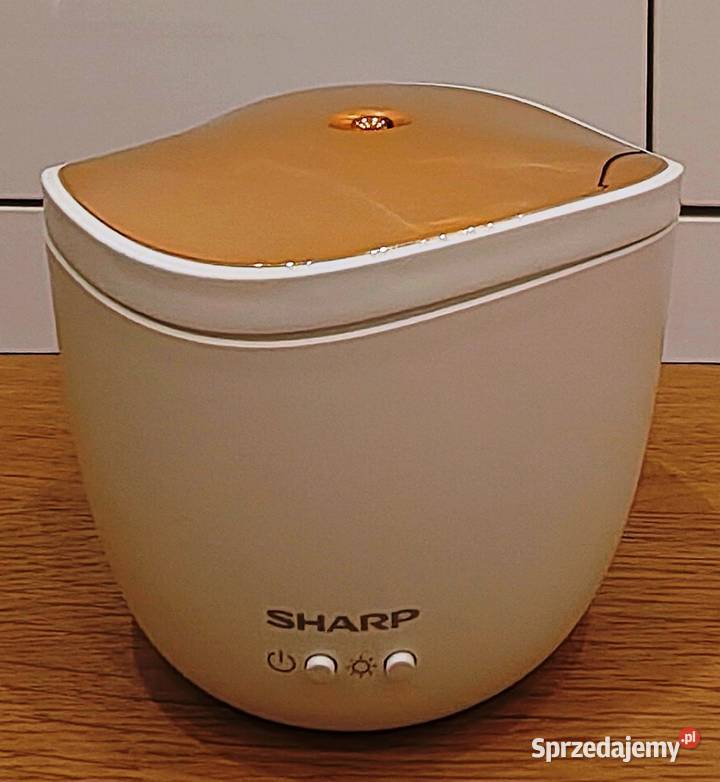 Aromatyzer Sharp DFA1 Toruń