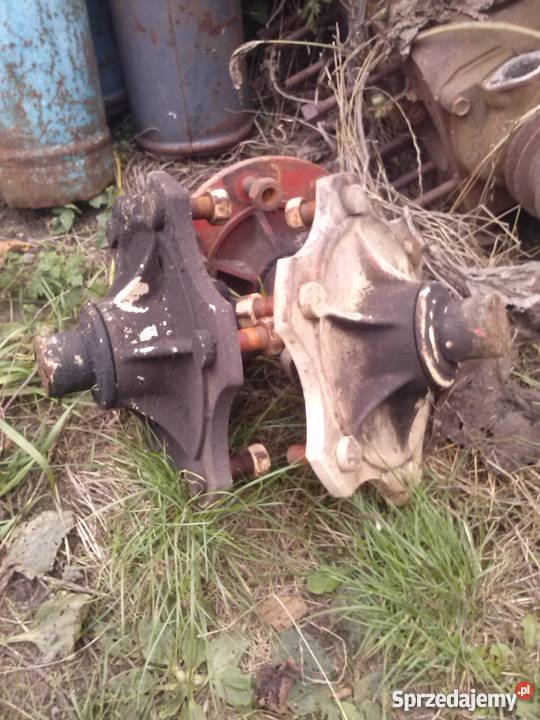 piasty z czopami Rakoniewice