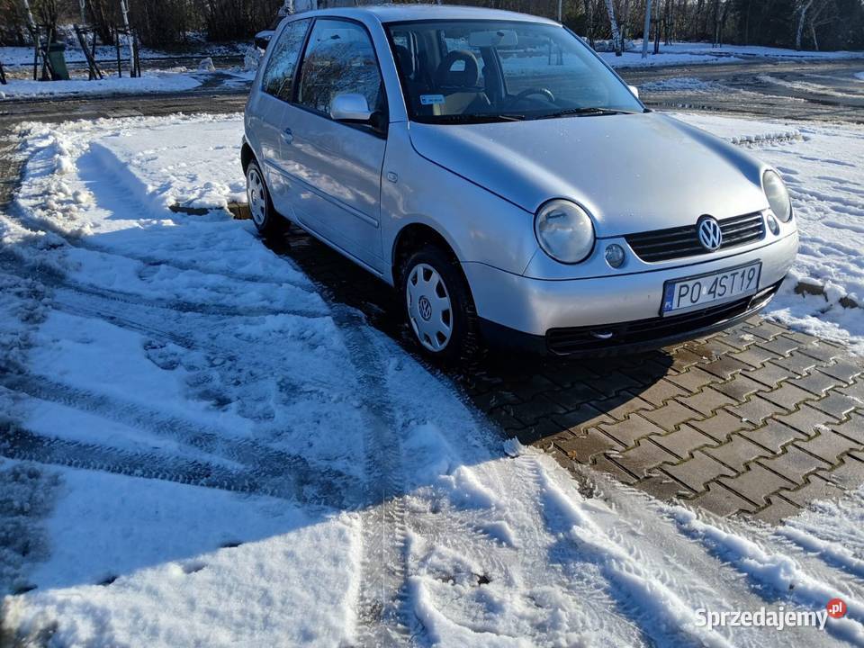 Sprzedam lupo Kostrzyn