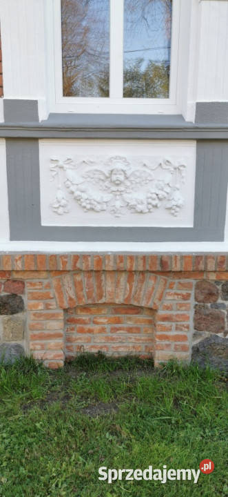 Przepiękny dom z duszą Trzciel