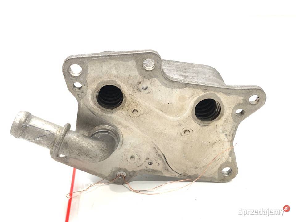 CHŁODNICZKA OLEJU INFINITI Q50 20 211 podkarpackie