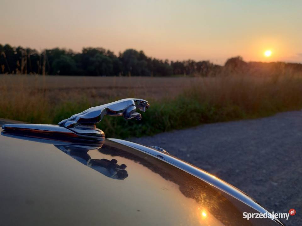 Jaguar Stype 30 jasne wnętrze Do remontu na Kraków