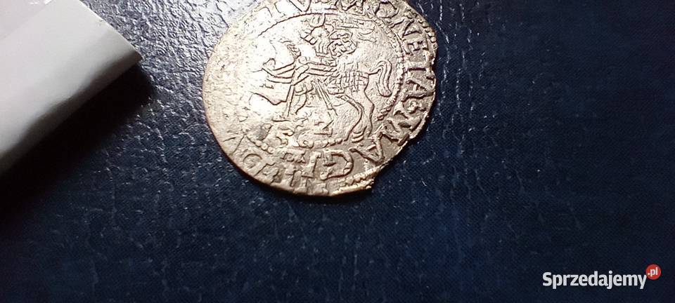 Stare monety Półgrosz 1562 Wilno Polska Zygmunt Lesko