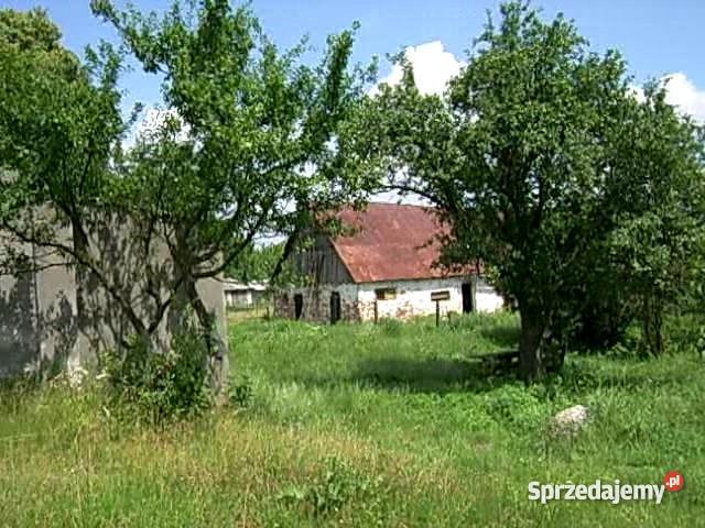 dom wolnostojący do 10000m2 Prabuty Rok budowy 1930 Prabuty