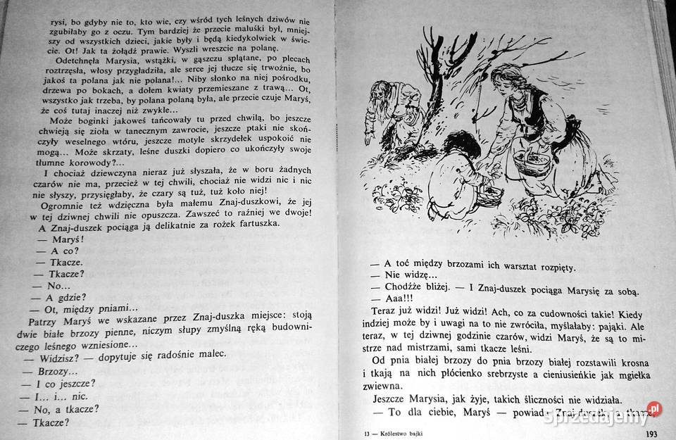 Królestwo bajki Ewa SzelburgZarembina Chełm