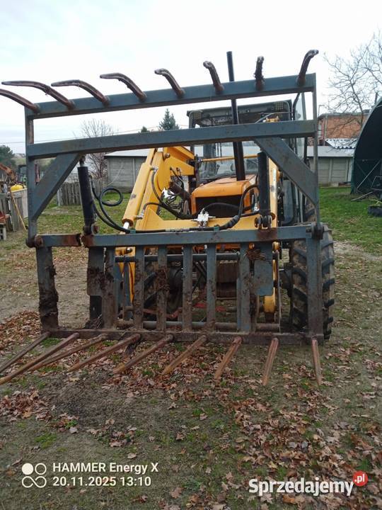 Widłokrokodyl Ostrzeszów