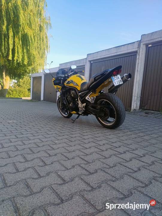 Yamaha Fazer Świecie