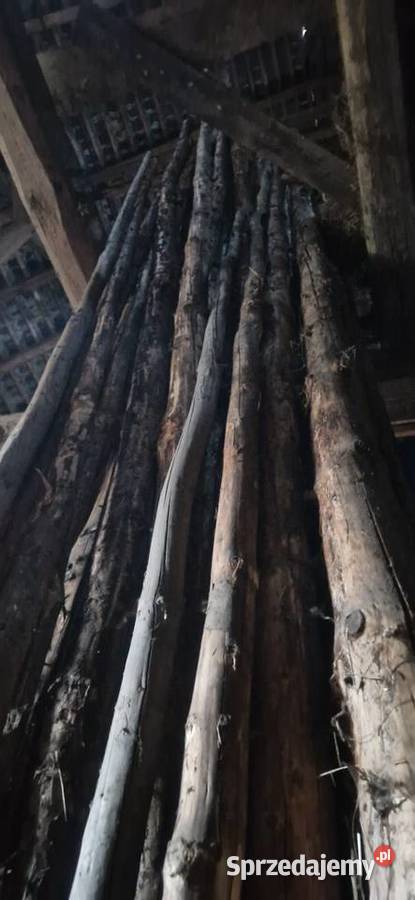 Pnie drewniane żerdzie okorowane Sędziszowa