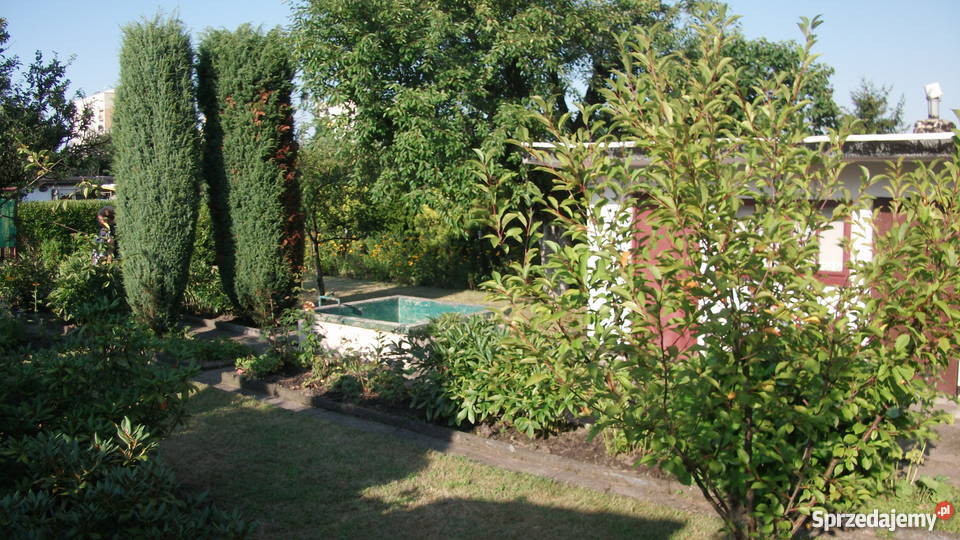 Sprzedam ogródek działkowy na terenie ROD HUTNIK 111zł/m2 Chorzów