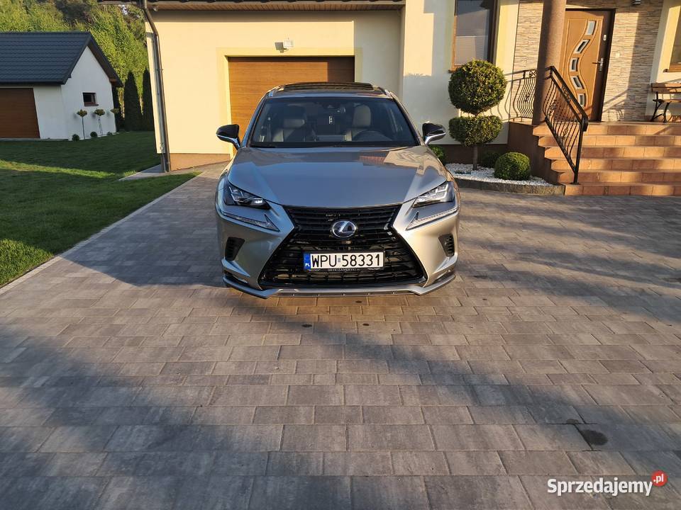 Lexus Nx 300 FSport 2019 Serock sprzedam